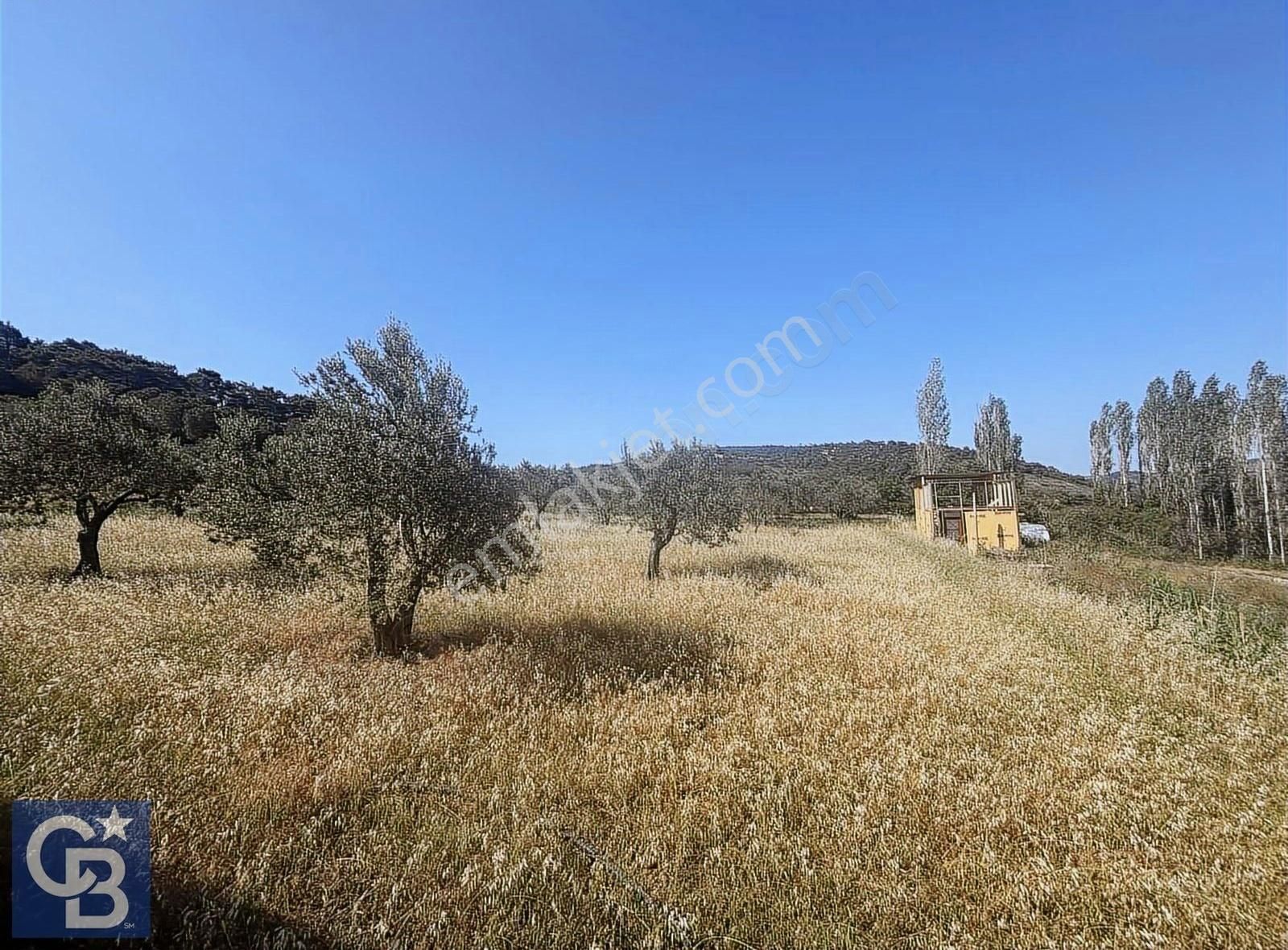 Cb Odak Gayrimenkulden Müstakil Tapu 1638 M2 Satılık Zeytinlik - Görsel 22