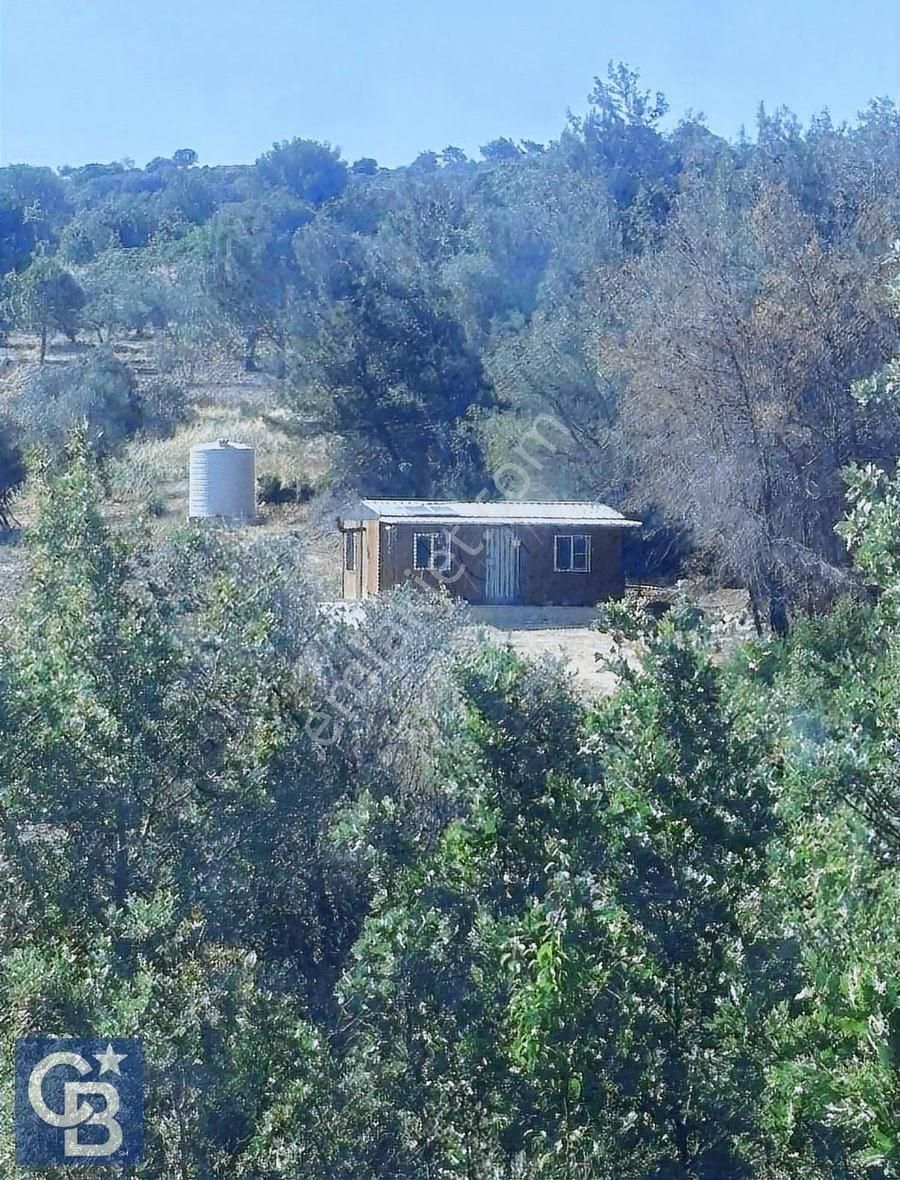 Cb Odak Gayrimenkulden Müstakil Tapu 1638 M2 Satılık Zeytinlik - Görsel 23