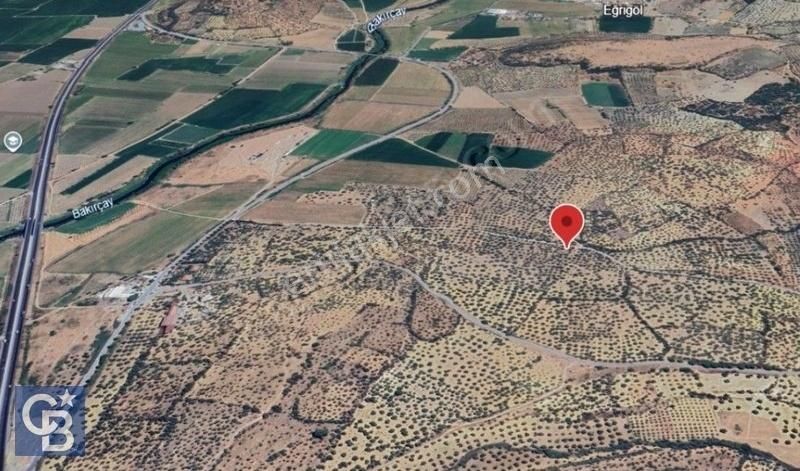 Bergamada 2107 M2 Müstakil Tapulu Zeytinli Tarla - Görsel 2