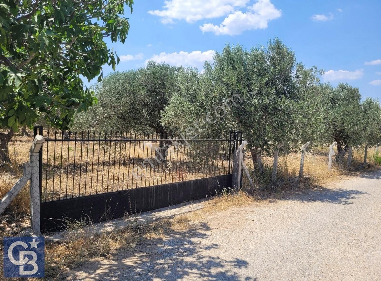 Bergamada 2107 M2 Müstakil Tapulu Zeytinli Tarla - Görsel 11
