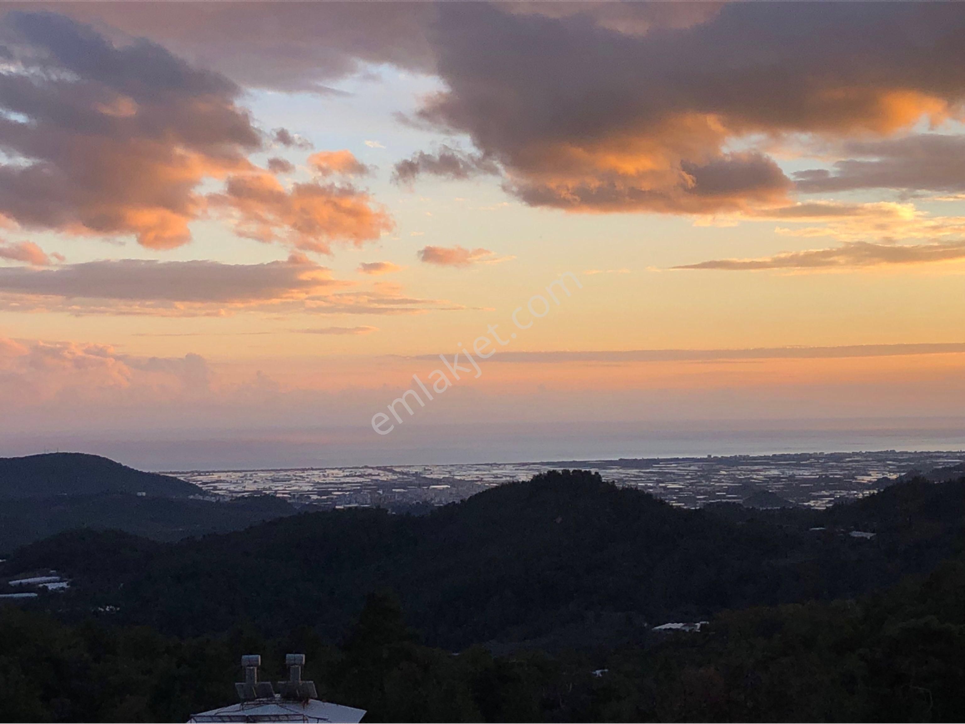 Kumluca Güzören'de Deniz Manzaralı,güney Cepheli,yatırımlık Narenciye Bahçesi