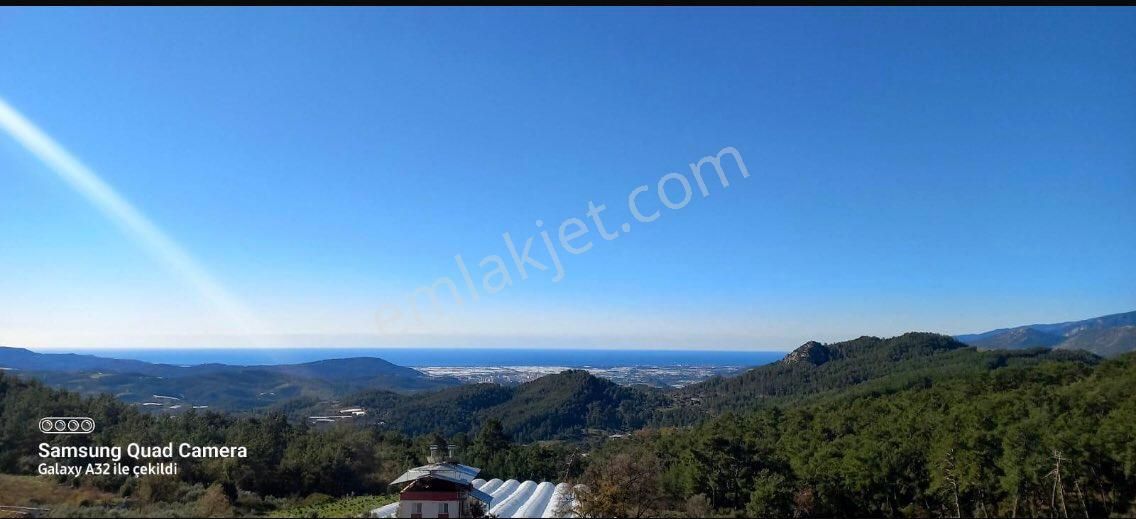 Kumluca Güzören'de Deniz Manzaralı,güney Cepheli,yatırımlık Narenciye Bahçesi - Görsel 4