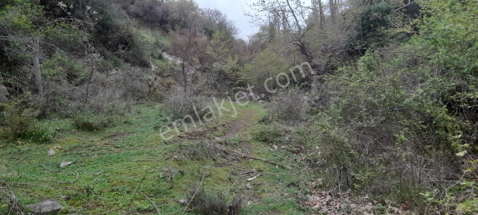 🌿 Bergama Durmuşlar Mahallesi Satılık Hobi Bahçesi — 1.350 M² - Görsel 6