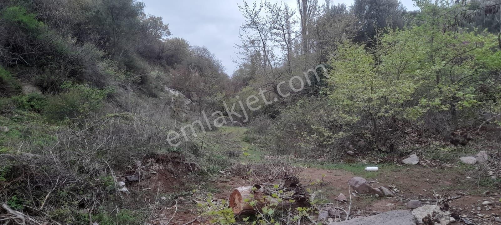 🌿 Bergama Durmuşlar Mahallesi Satılık Hobi Bahçesi — 1.350 M² - Görsel 7