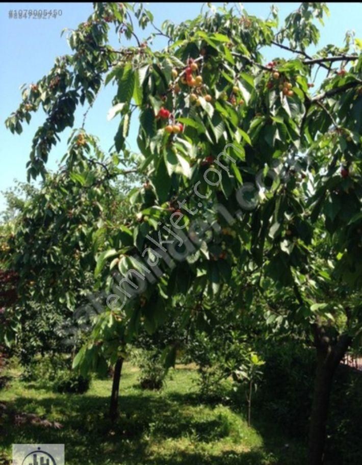 Madende Satılık 4 Katlı Bahceli Bina - Görsel 11