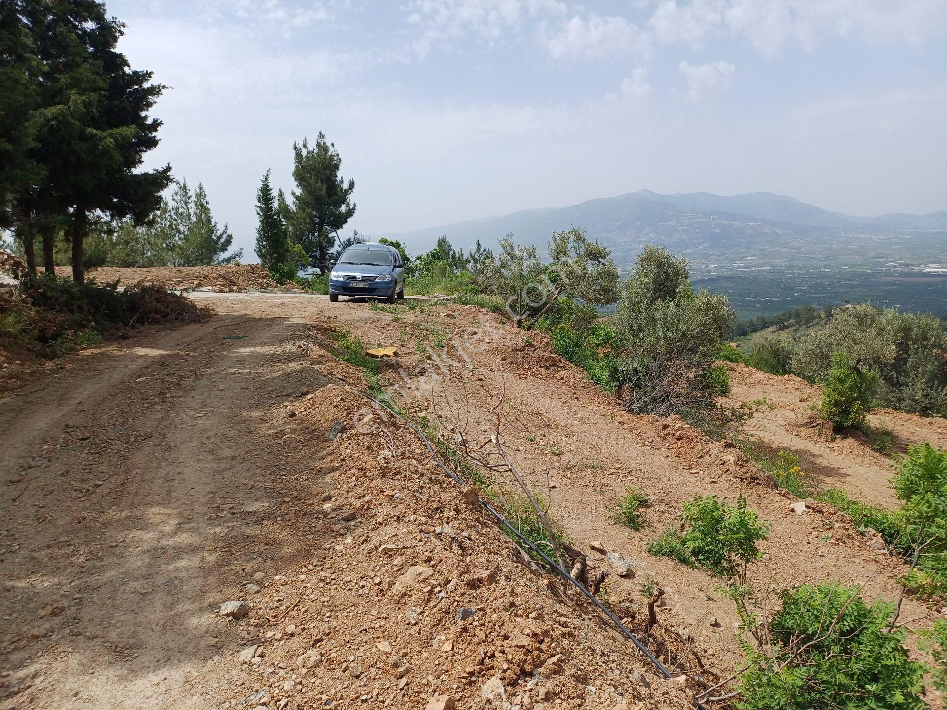 Sahibinden Kemalpaşa Ören Yaka Mevkiinde Yol Ve Sondajı Olan Zeytinlik - Görsel 14