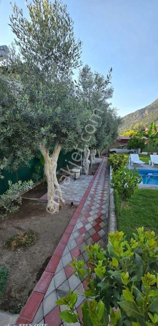 Köyceğiz Zeytinalanında 570 M² İçerisinde Havuzlu Müstakil Ev
