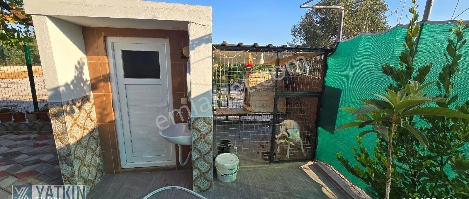 Köyceğiz Zeytinalanında 570 M² İçerisinde Havuzlu Müstakil Ev - Görsel 16