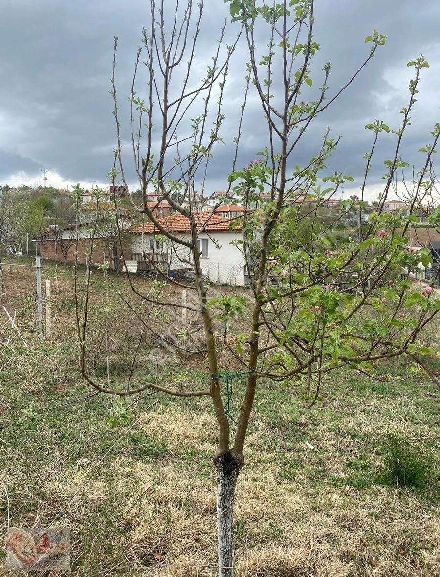 İçeri Dere Bağları Üstünde 500m2 Kooperatif Hisseli Ev Ve Yeri - Görsel 23