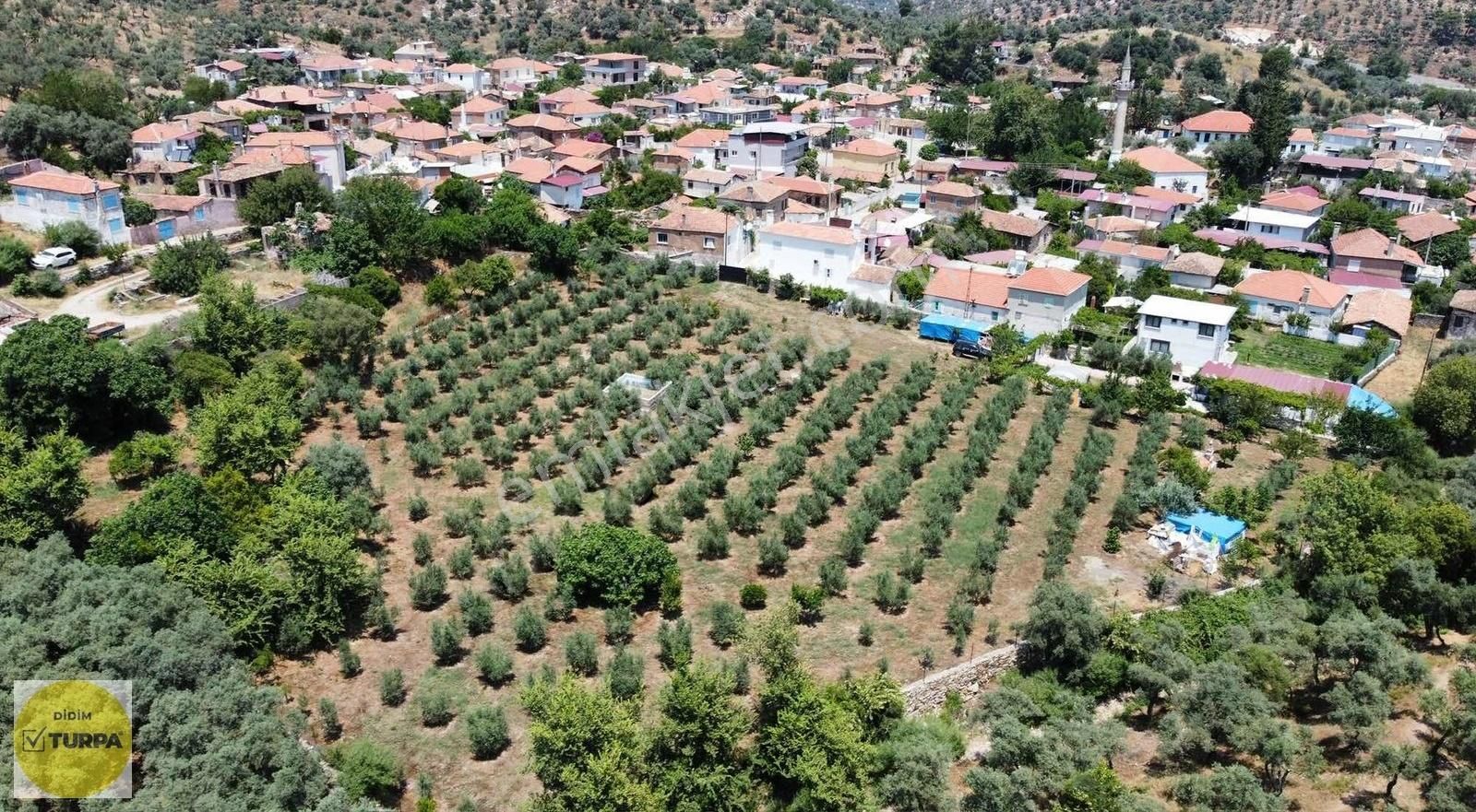 Pınarcıkta Ruhsatlı Evli, Aboneli, 6.055 M² Taş Duvarlı Tarla!