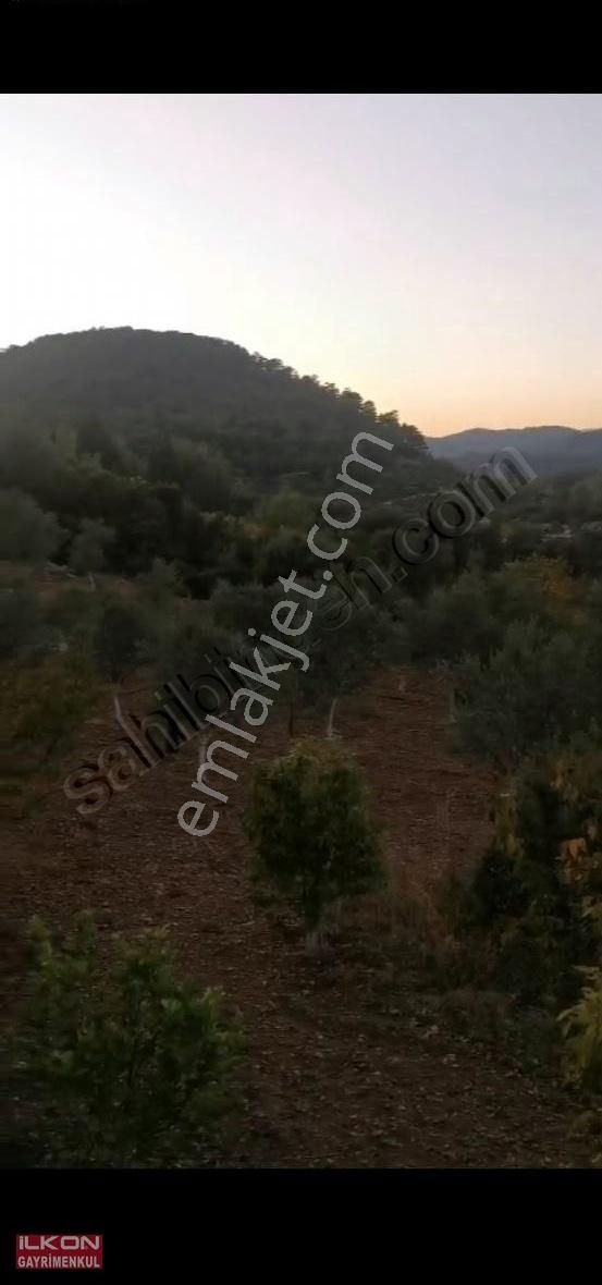 Fethiye Çenger Mah.ilkon'dan Satılık Köyiçi İmarlı Tarla - Görsel 4