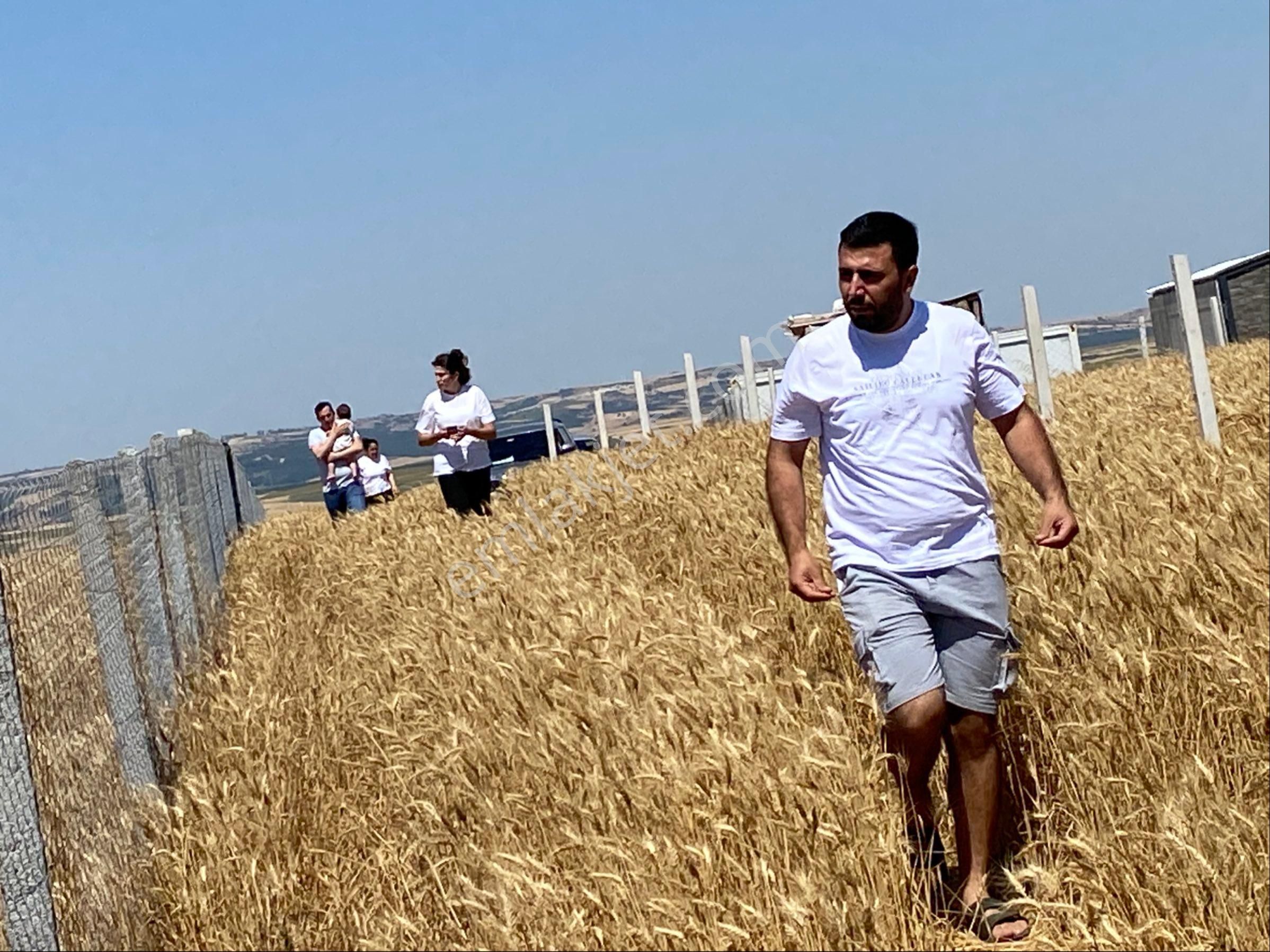 İstanbul Silivri Değirmenköy Sahibinden Satılık Arsa - Görsel 9