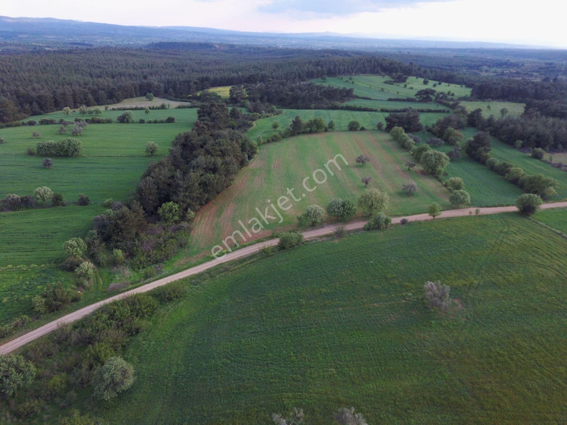 Çanakkale Bayramiç Zeytinli Satılık 7.737 M2 Yola Yakın Tarla - Görsel 26