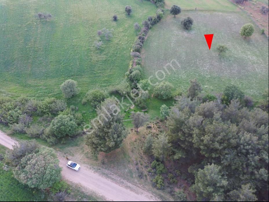 Çanakkale Bayramiç Zeytinli Satılık 7.737 M2 Yola Yakın Tarla - Görsel 2