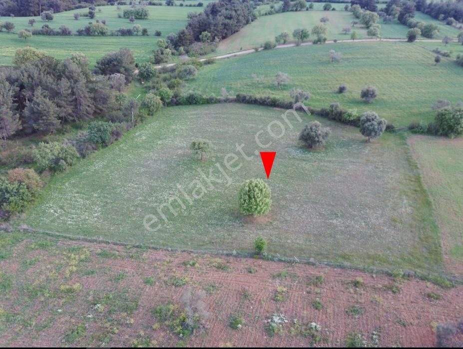 Çanakkale Bayramiç Zeytinli Satılık 7.737 M2 Yola Yakın Tarla - Görsel 29