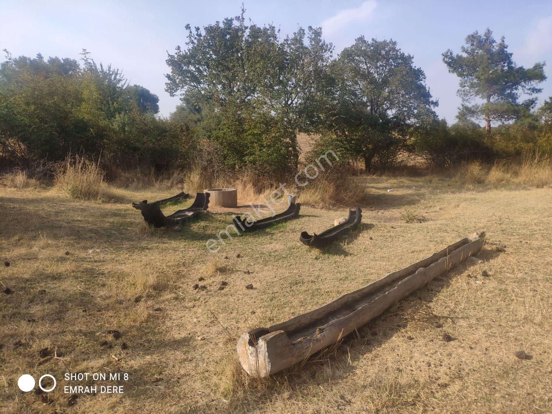 Çanakkale Bayramiç Zeytinli Satılık 7.737 M2 Yola Yakın Tarla - Görsel 10