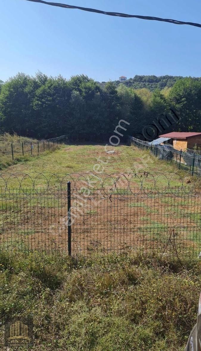 Şile İmrenli De 612m² Denize 200m Mesafede Satılık İmarlı Arsa - Görsel 3