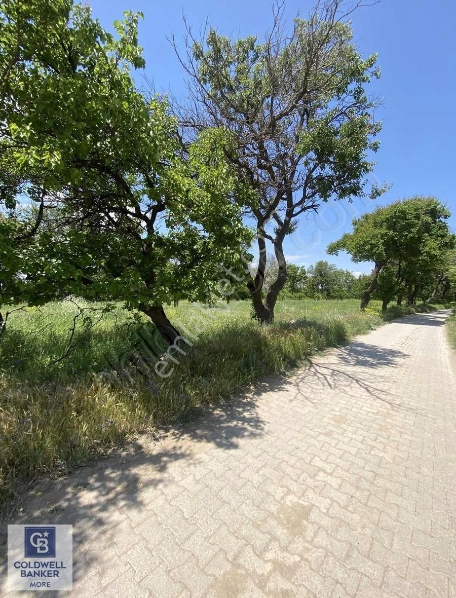 Bünyan Merkezde 7,623 M2 Satılık Bahçe