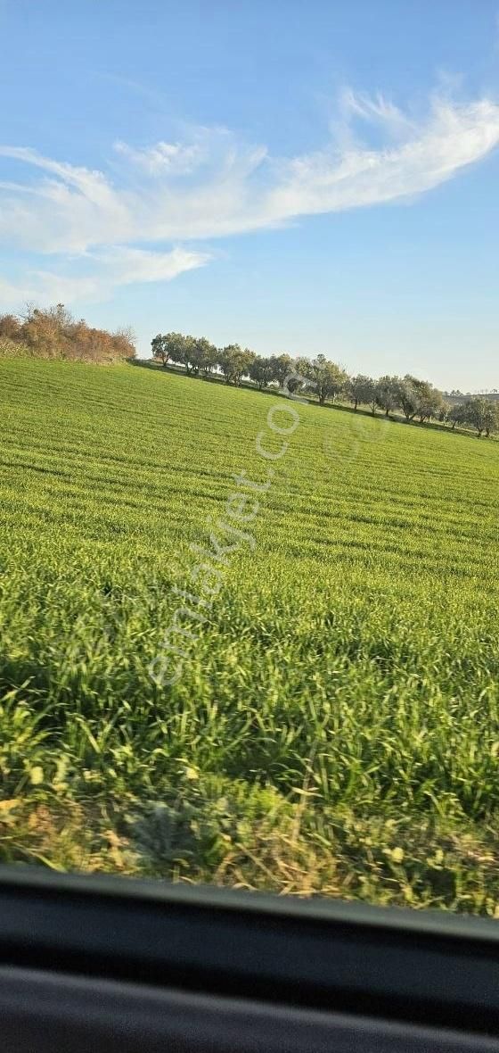 6.600m Mustakil Tapu Resmi Yolu Var Uygun Fiyat