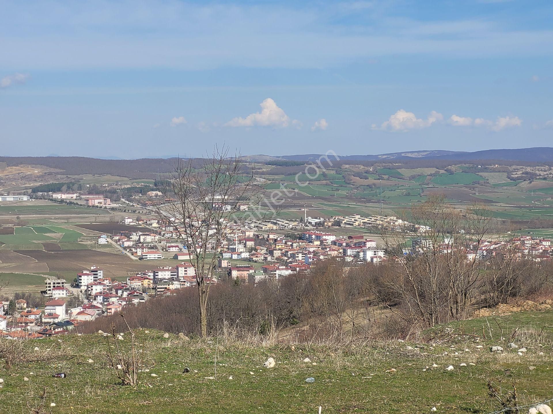 Samsun Ladik Satılık Müstakil Tek Tapulu Tarla