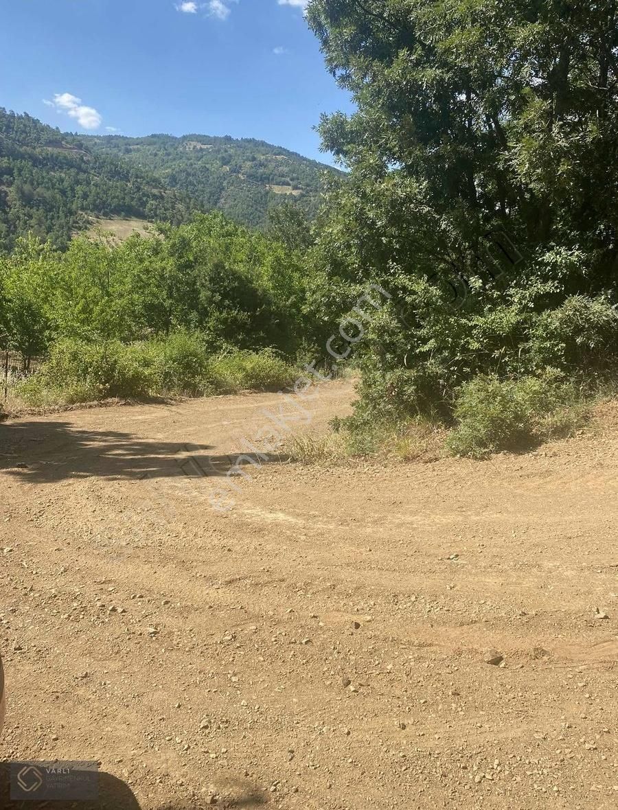 Bursa Osmangazi Uluçamda Yola Cephe 3.323 M² Yol+su+elektrik