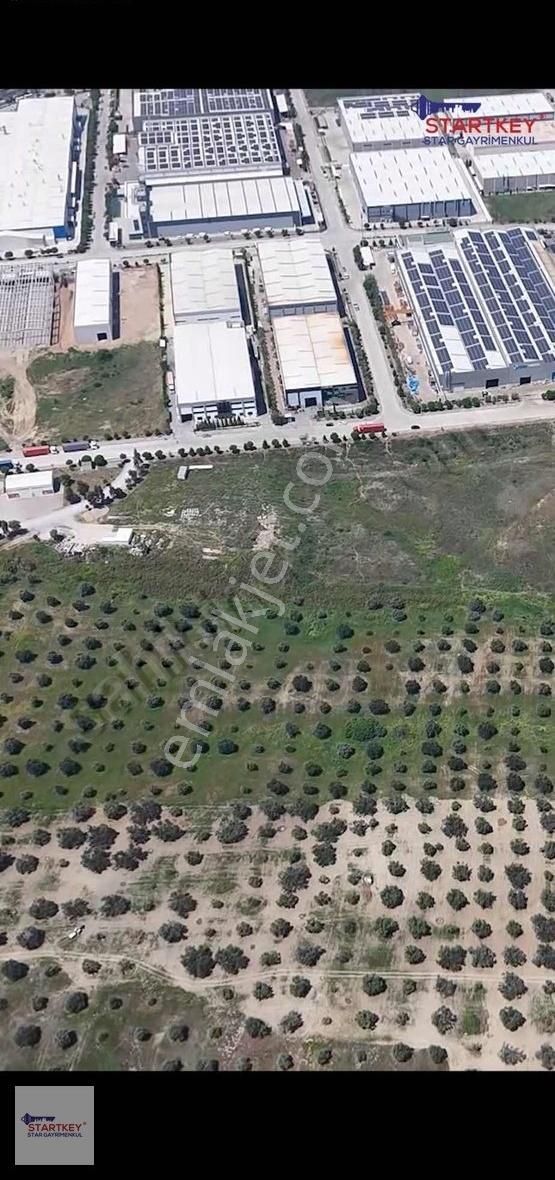 Startkey Stardan Bağyurdu Osb Yanı Satılık Arazi(zeytinlik)