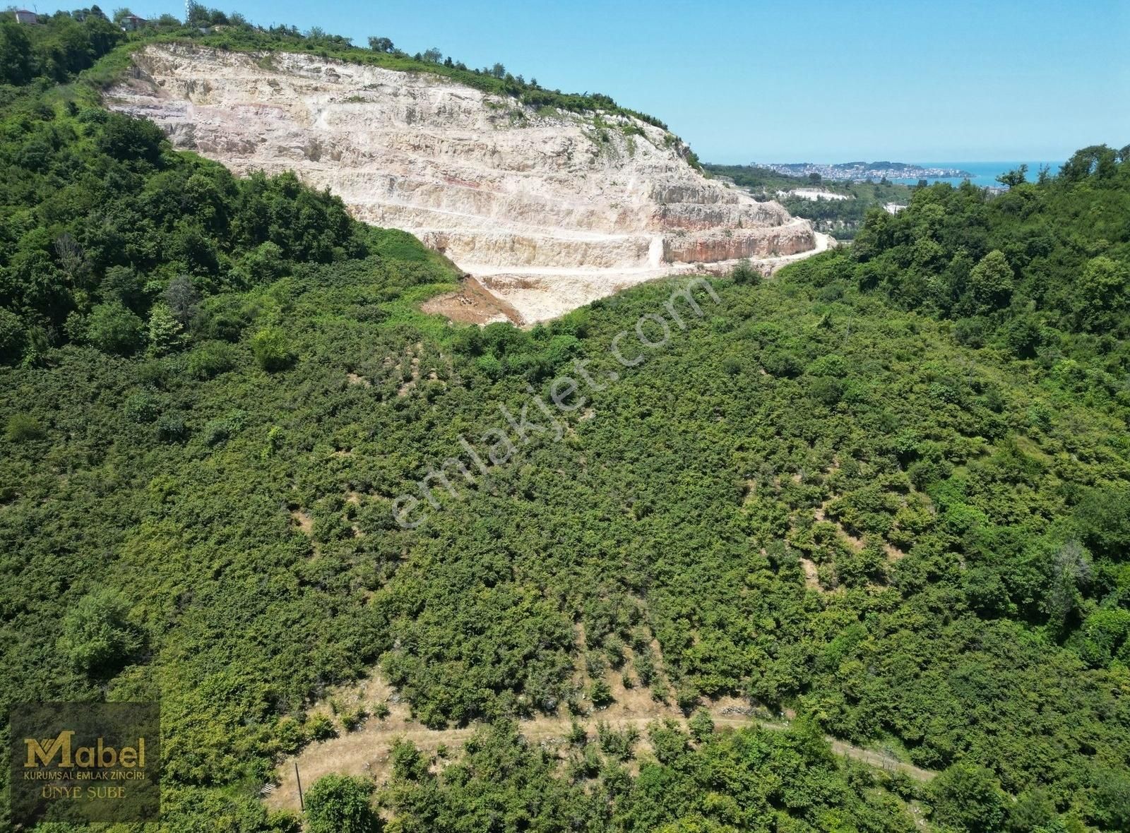 Mabel'den - Deniz Manz. Cevizdere Mevkii 5800 M2 Fındıklık