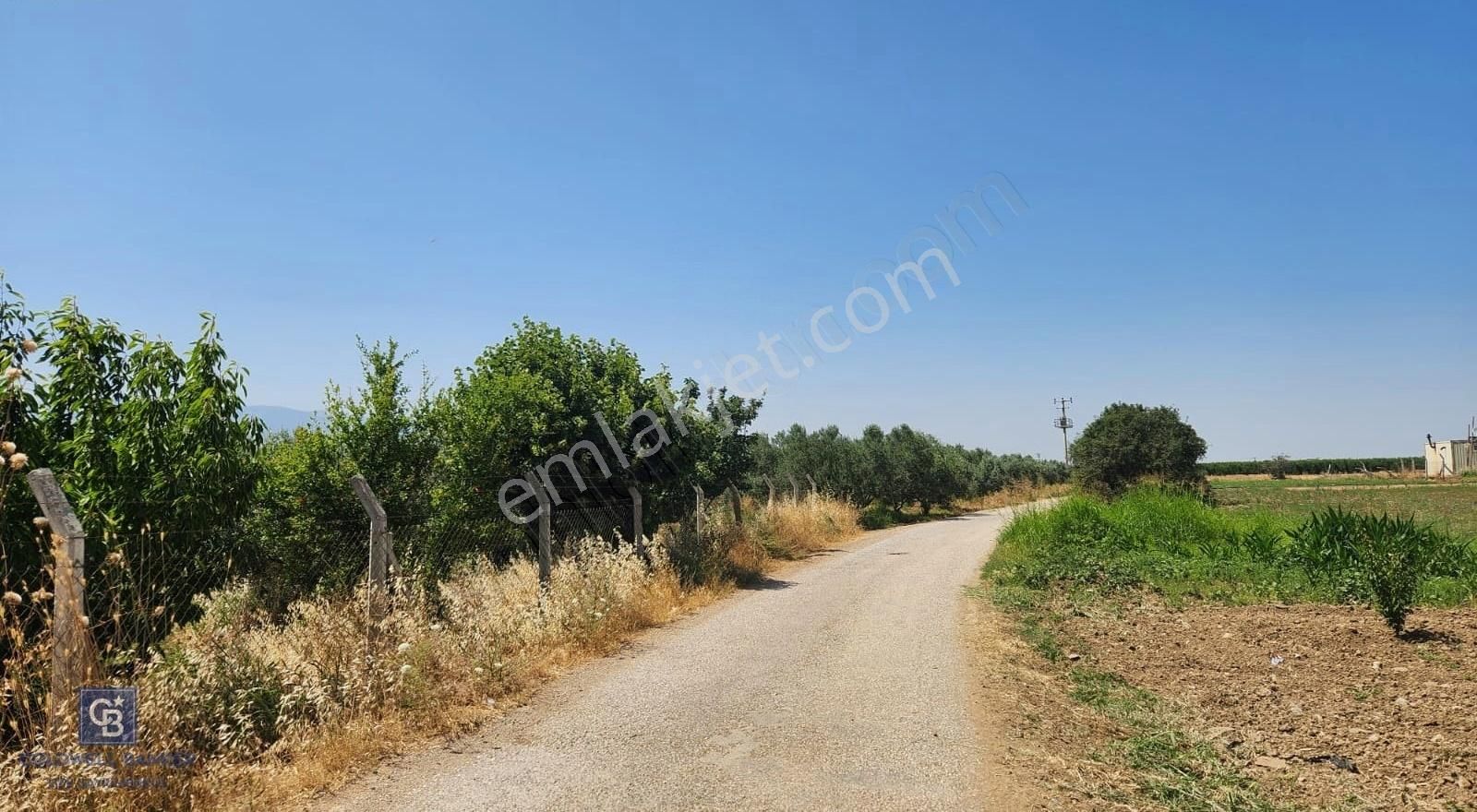 Kemalpaşa'da Satılık İçinde Zeytin Ağaçları Bulunan Tarla - Görsel 12