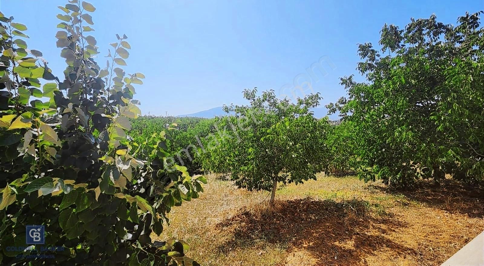 Kemalpaşa'da 62 Dönüm Arazi İçinde 550 Metrekare Malikane - Görsel 4