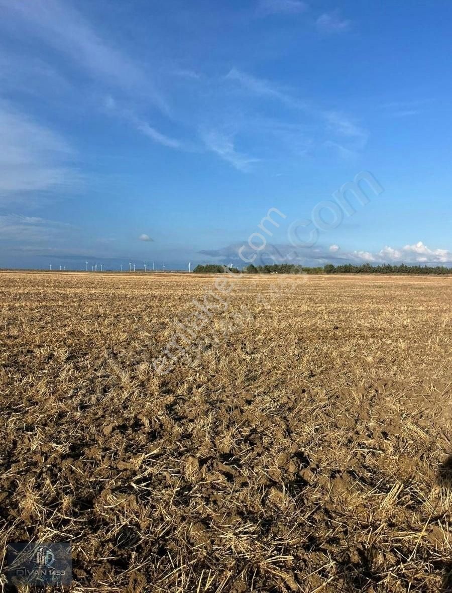 Acil Satılık Otobana Yakın Silivri Seymen De Satılık Tek Tapu - Görsel 2