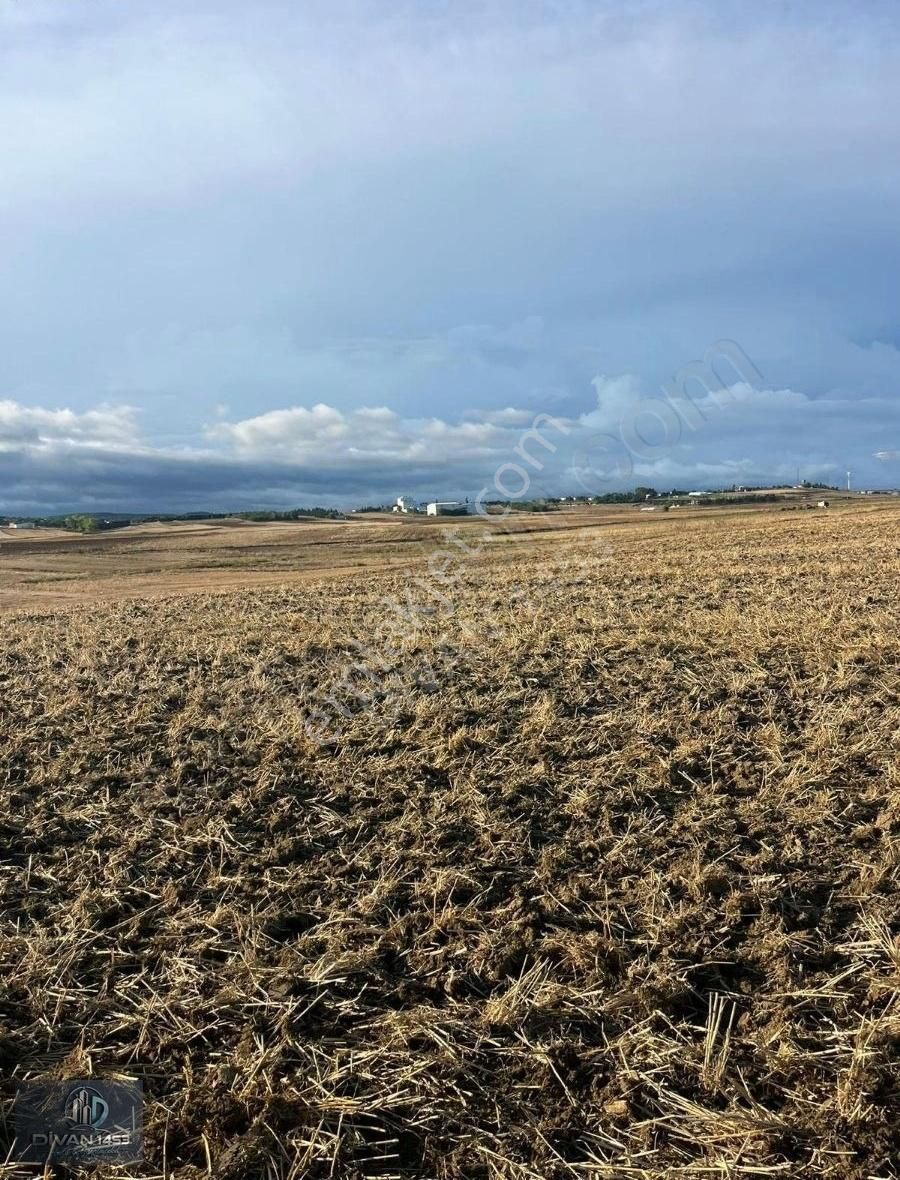 Acil Satılık Otobana Yakın Silivri Seymen De Satılık Tek Tapu - Görsel 6