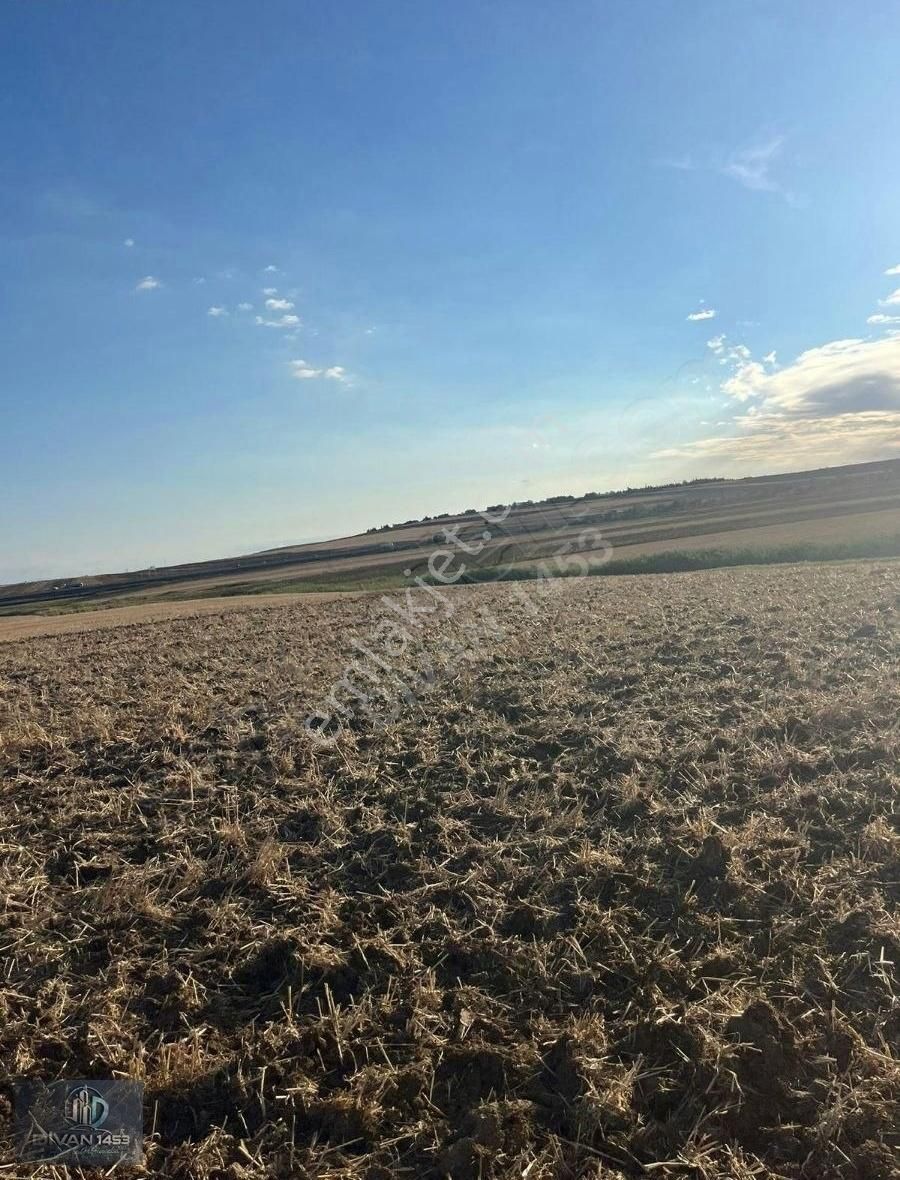 Acil Satılık Otobana Yakın Silivri Seymen De Satılık Tek Tapu - Görsel 10