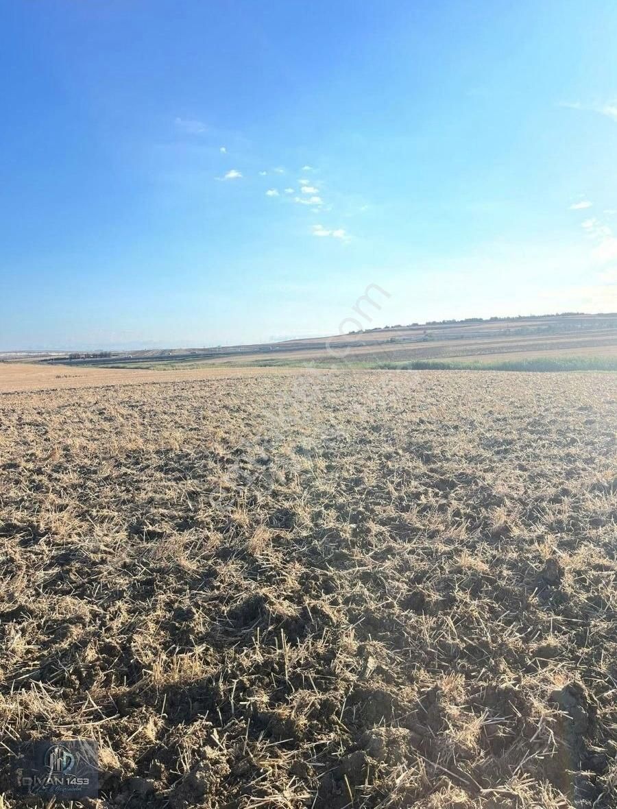 Acil Satılık Otobana Yakın Silivri Seymen De Satılık Tek Tapu - Görsel 3