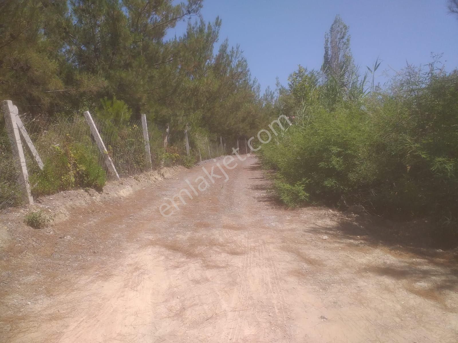 Değirmenderede Göl Manzaralı Tapulu Arsa 700 M2 - Görsel 2