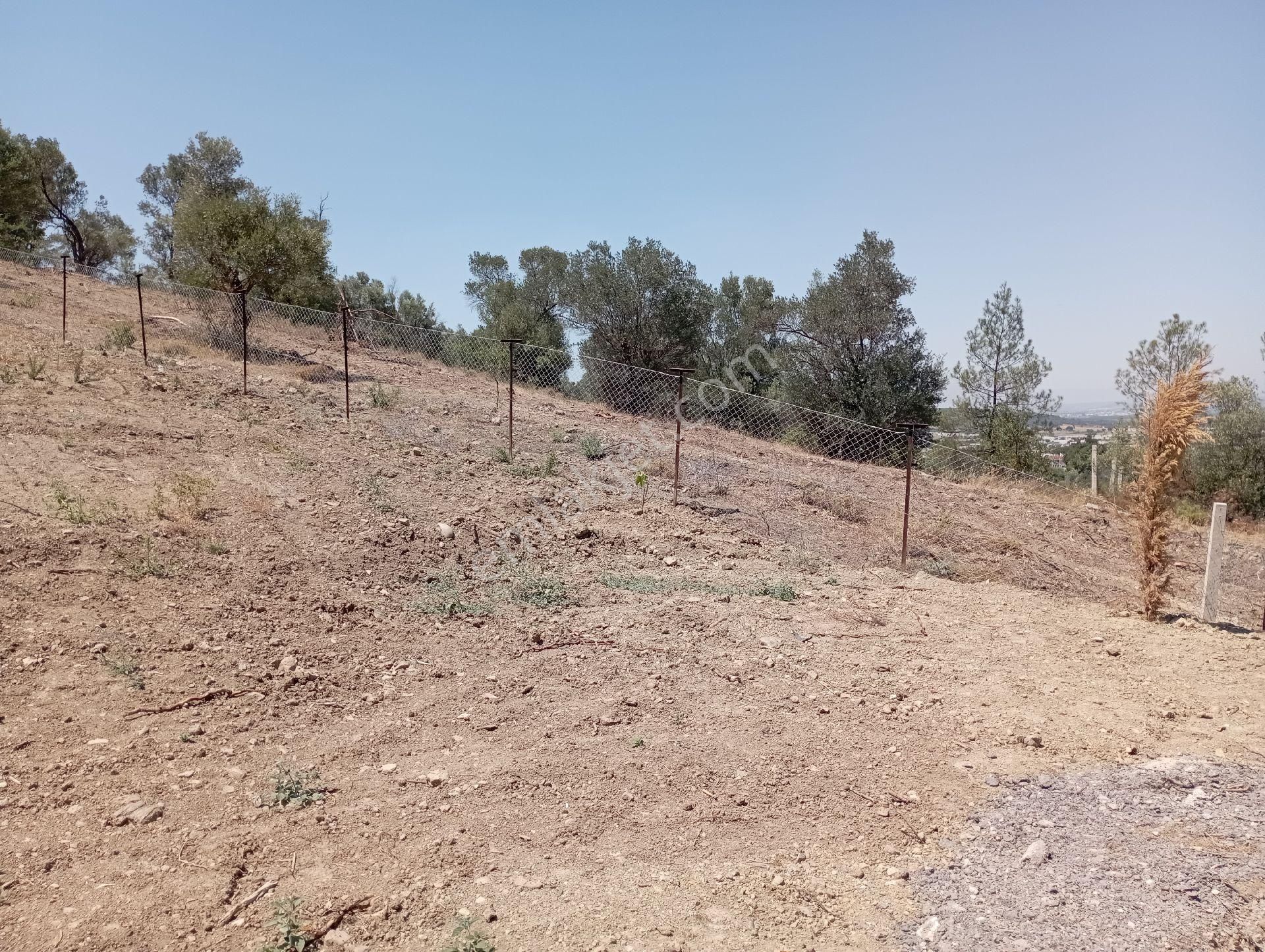 Değirmenderede Göl Manzaralı Tapulu Arsa 700 M2 - Görsel 4