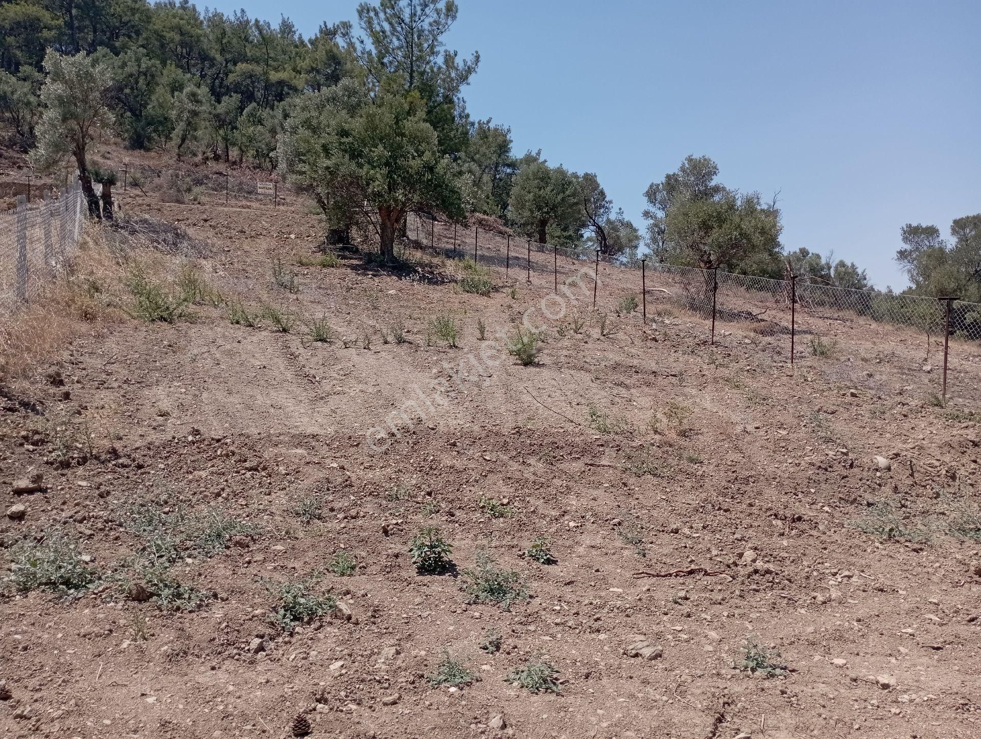 Değirmenderede Göl Manzaralı Tapulu Arsa 700 M2 - Görsel 6