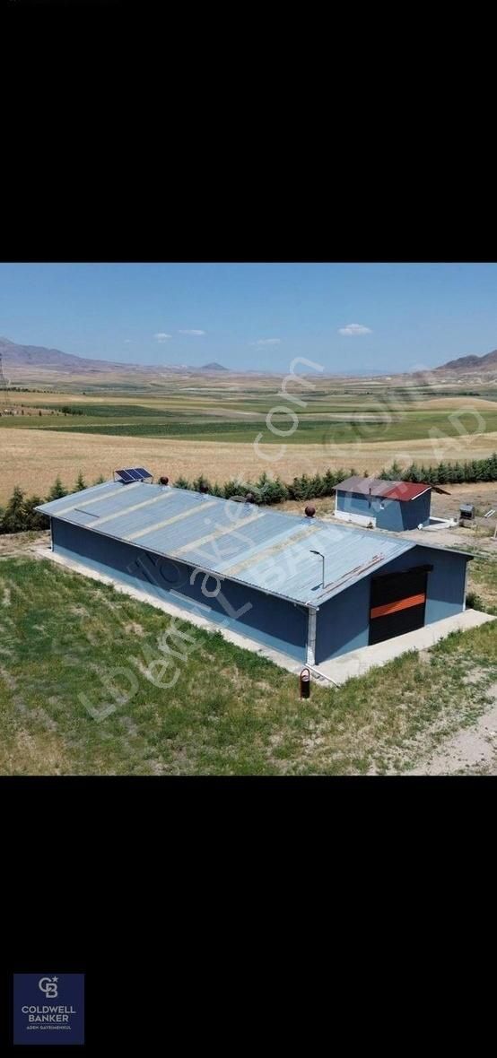 Sincan Temelli Girmeç Nitelikli Tarla