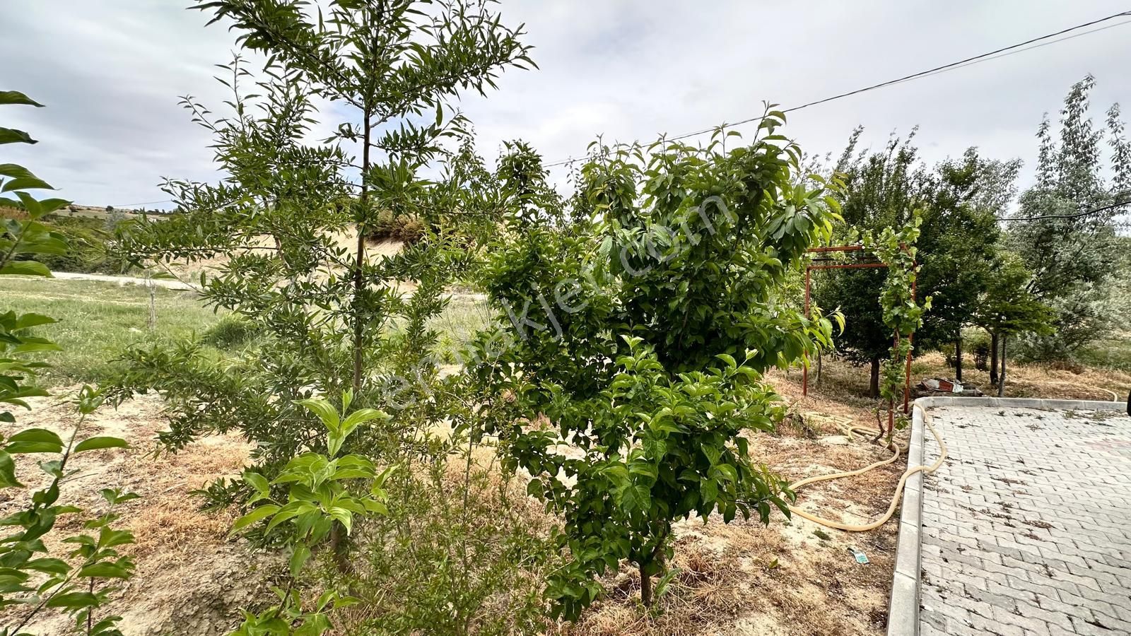 Vip Gayrimenkul'den Gündoğan Mah. 3+1 Bahçeli Müstakil Ev - Görsel 33