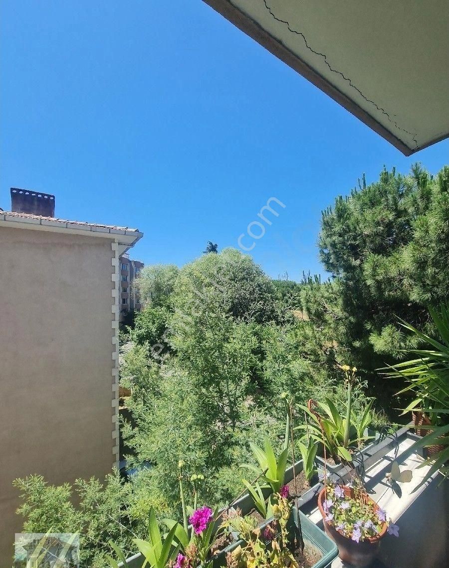 Dragos Sahilde Satilik 3+1daıre - Görsel 15