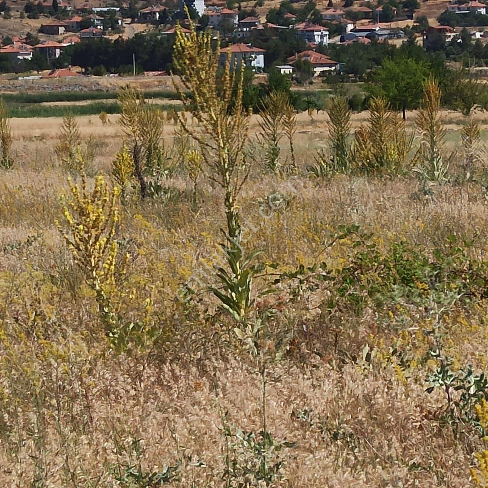 Atabey'den Burdur Yeşilova Salda'da Satılık Tarla - Görsel 6