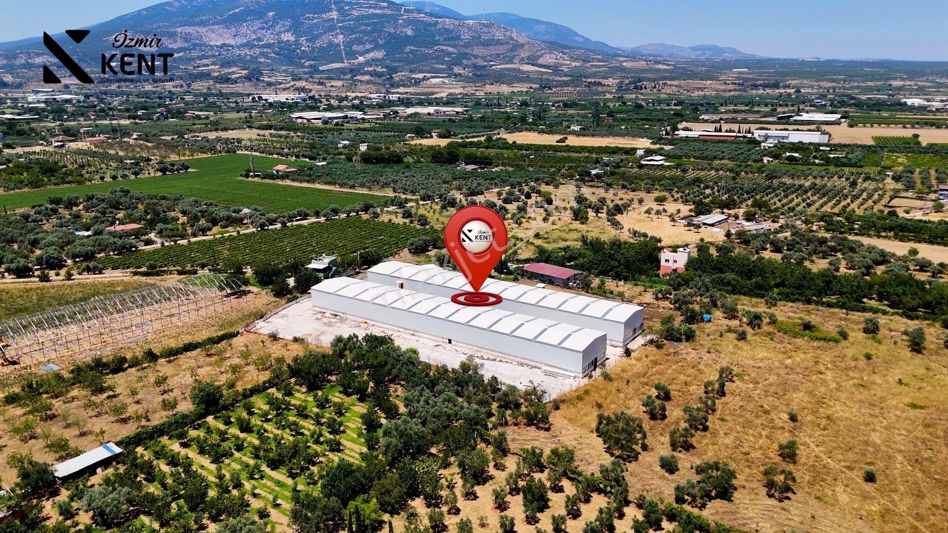 Armutlu Hürriyet 2 Adet 1100 M2'den Oluşan Kiralık 2.200 M2 Depo