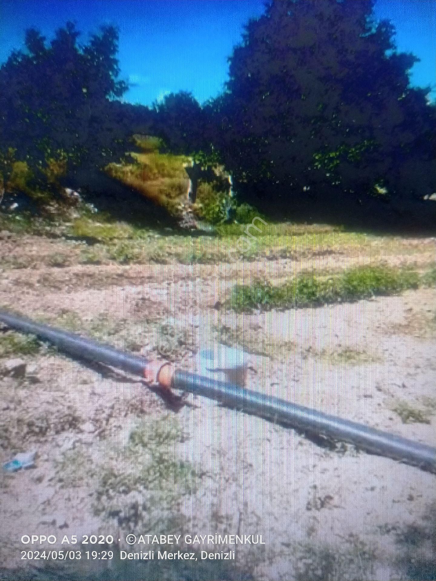 Atabey'den Denizli Acıpayam Gümüş'te Satılık Büyük Tarla - Görsel 5