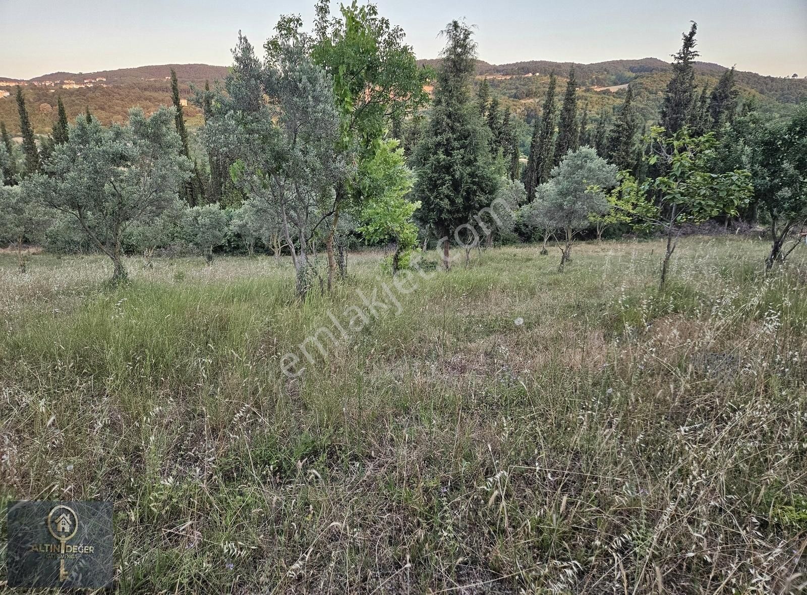 Tavşanlıda Satılık Villa İmarlı Arsa