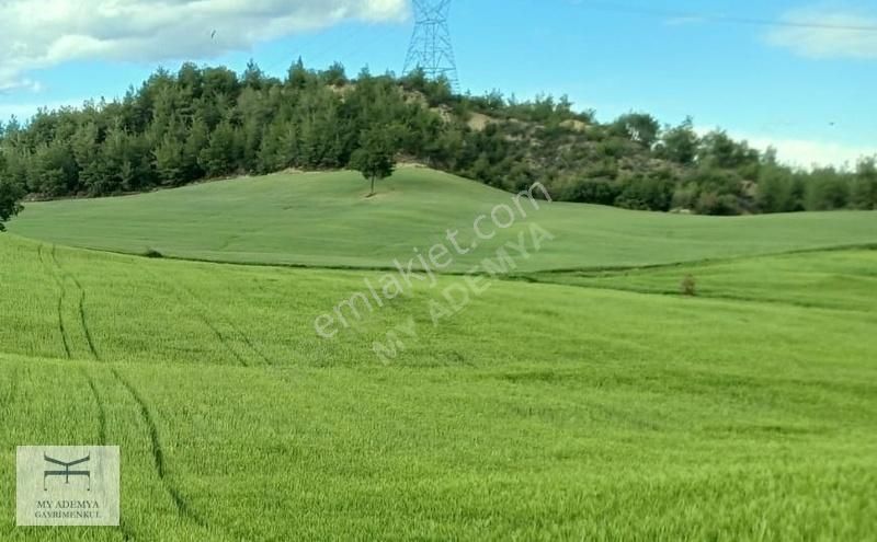 Adana Sarıçam Karlık Mahallesi Satılık Verimli Düz Tarla