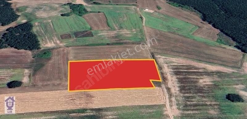 Lir De Küçükyoncalı Da Satılık Müstakil 6142 M2 Tarla