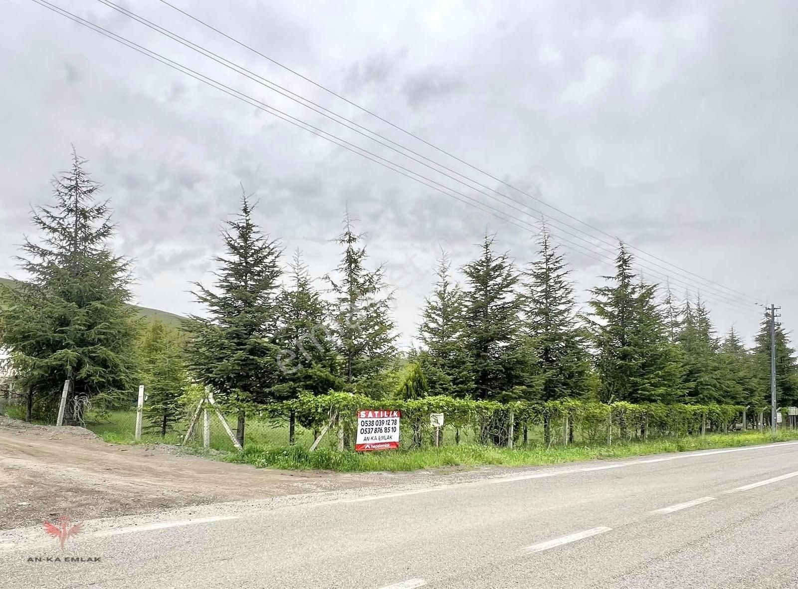 Basride Yola Sıfır 2 Dönüm Tapulu Bahçe