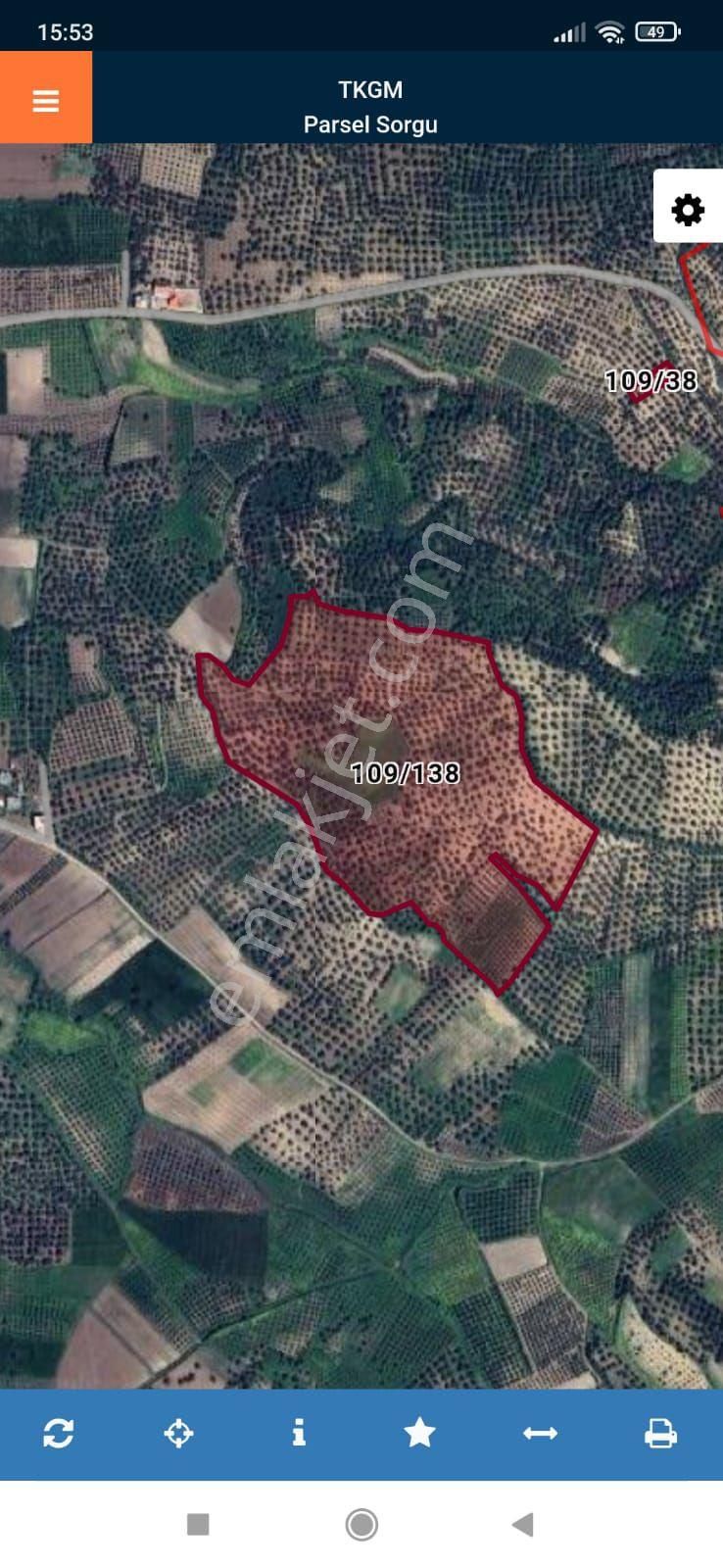 Toprakhisar Da Satılık Zeytinlik