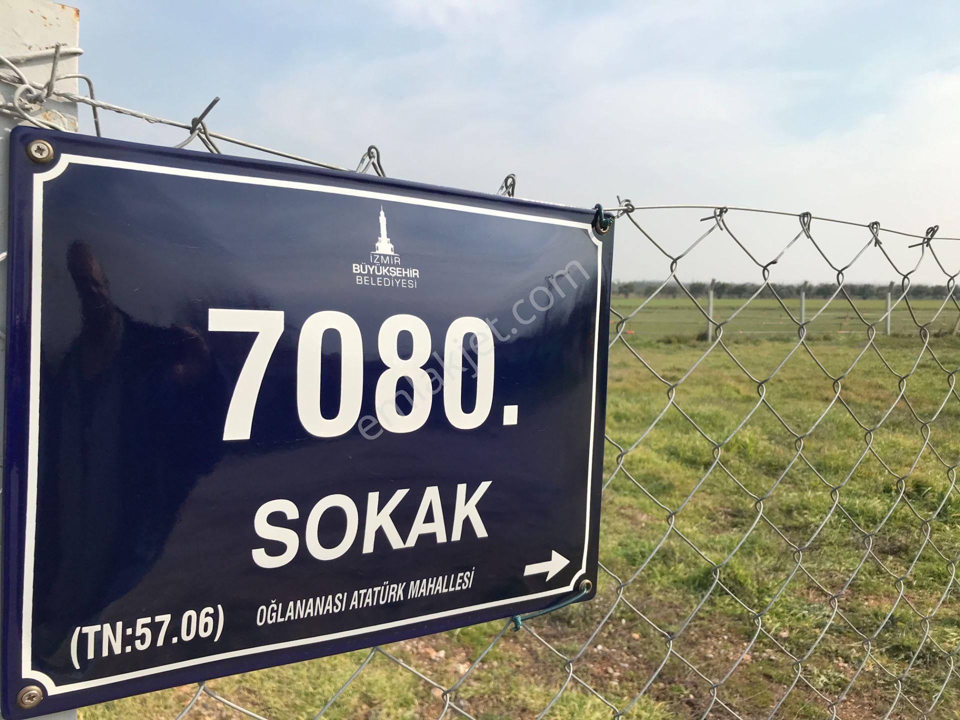 Mendereste 500 M2 Arsa ( Açıklamayı Tam Okuyun )