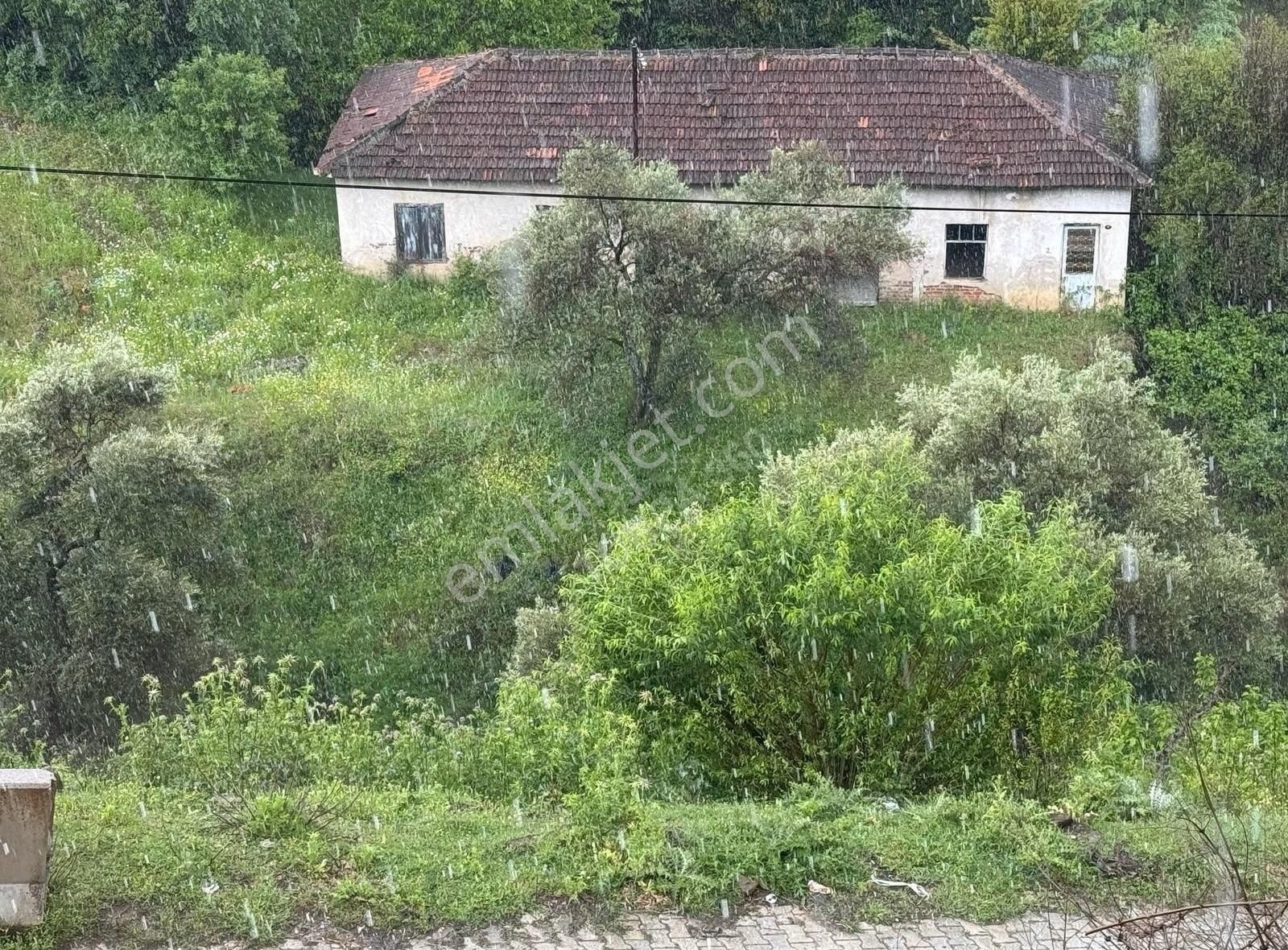 Turpa 360 Tireden Alanköyde Satılık Müstakil Ev