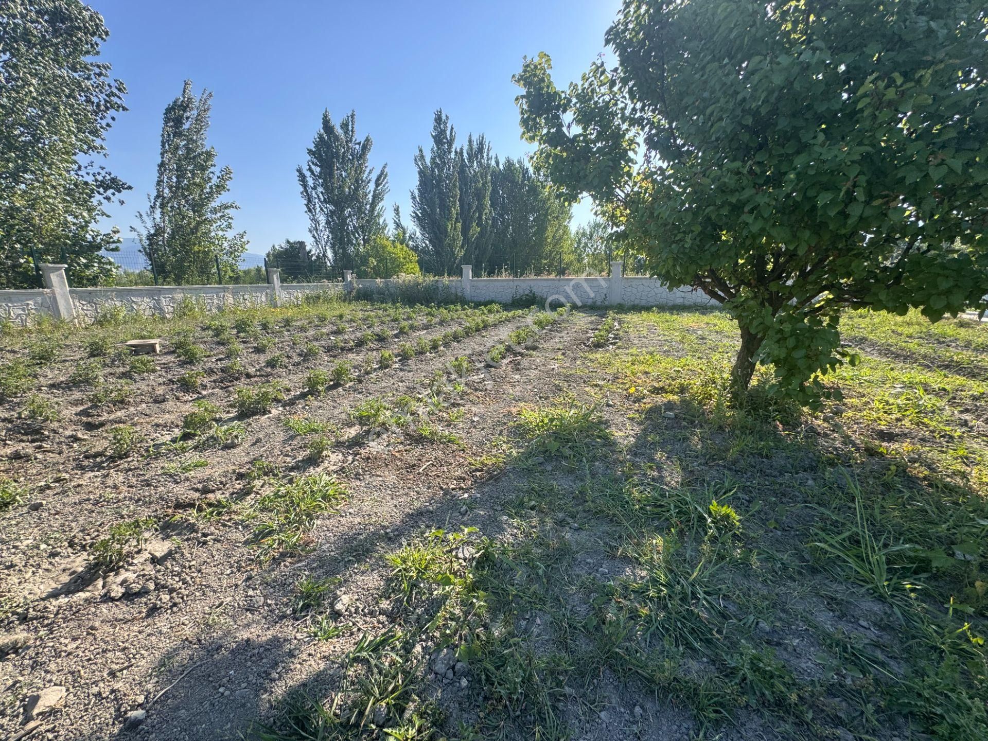 Emirseyitte Anayol Üzerinde 2945m2 İçerisinde 2+1 Evi Olan - Görsel 2